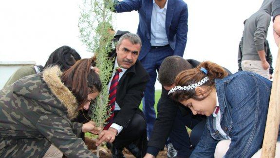 "İyilikte yarışıyoruz" projesi kapsamında ilçemiz Damla Kolejinin organize ettiği Akkoç ilkokulundaki ağaç dikme etkinliği